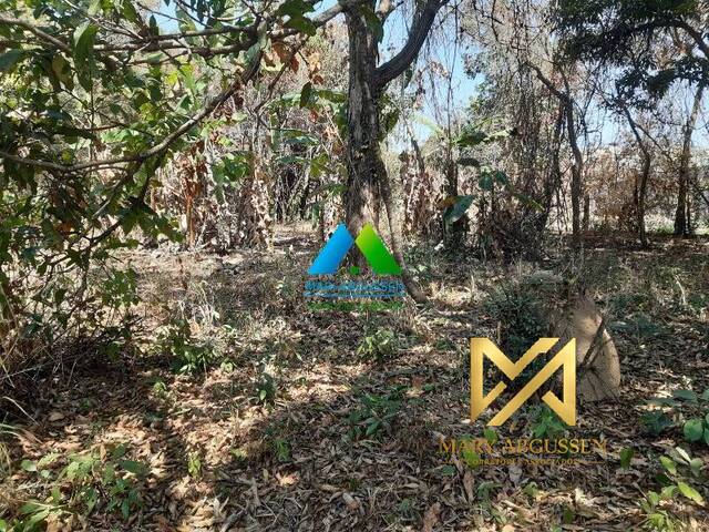 Terreno para Venda em Belo Horizonte - 5