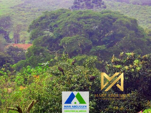 Sítio para Venda em Bocaina de Minas - 5